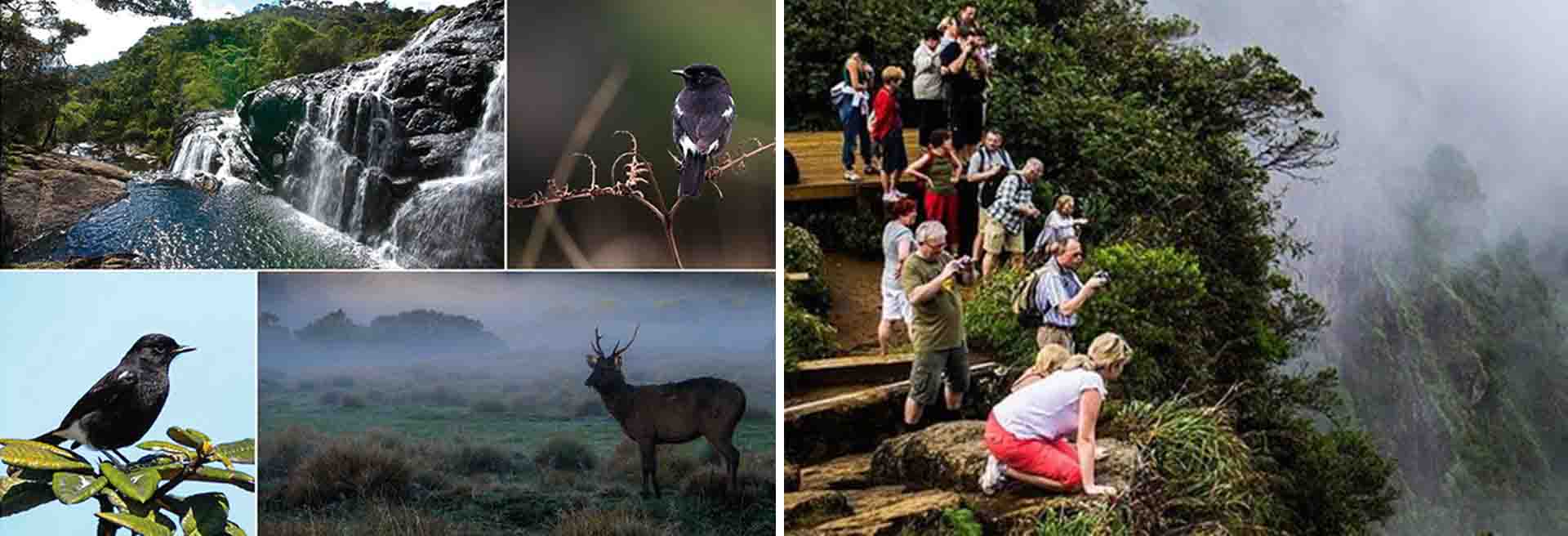 Horton Plains National Park